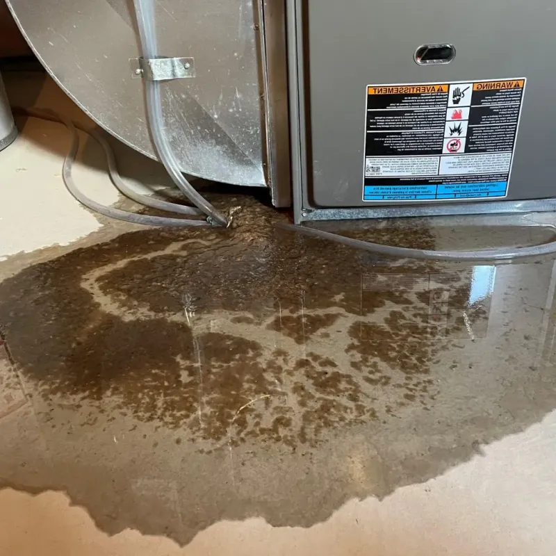 Pipe Burst and Leak Restoration in Saint Regis Park, KY