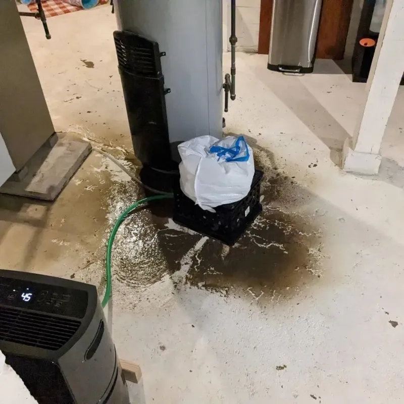 Sewage Backup Cleanup Service in Saint Regis Park, KY